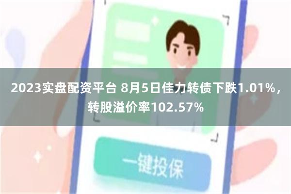 2023实盘配资平台 8月5日佳力转债下跌1.01%，转股溢价率102.57%