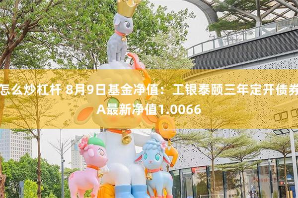 怎么炒杠杆 8月9日基金净值：工银泰颐三年定开债券A最新净值1.0066