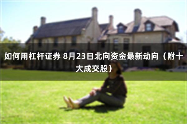 如何用杠杆证券 8月23日北向资金最新动向（附十大成交股）