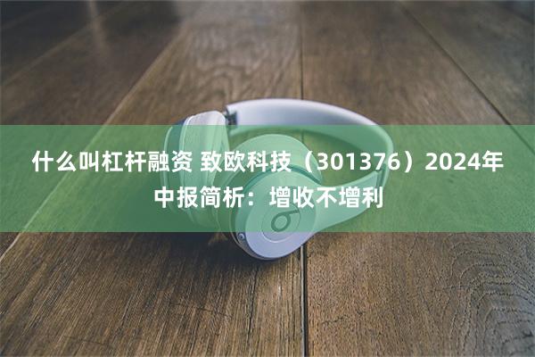 什么叫杠杆融资 致欧科技（301376）2024年中报简析：增收不增利