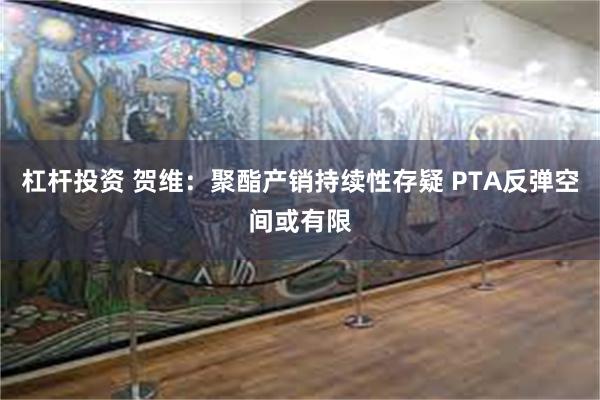 杠杆投资 贺维：聚酯产销持续性存疑 PTA反弹空间或有限