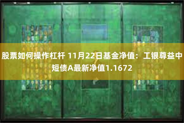 股票如何操作杠杆 11月22日基金净值：工银尊益中短债A最新净值1.1672