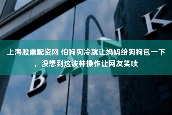 上海股票配资网 怕狗狗冷就让妈妈给狗狗包一下，没想到这波神操作让网友笑喷