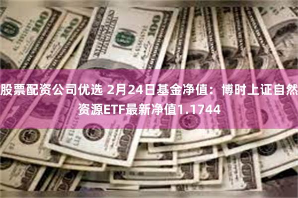 股票配资公司优选 2月24日基金净值：博时上证自然资源ETF最新净值1.1744