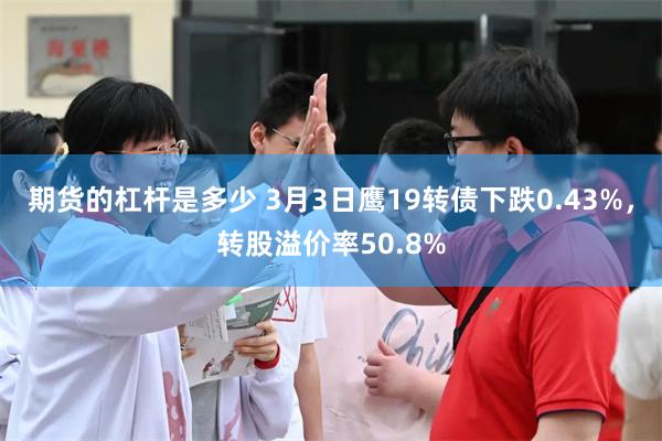 期货的杠杆是多少 3月3日鹰19转债下跌0.43%，转股溢价率50.8%