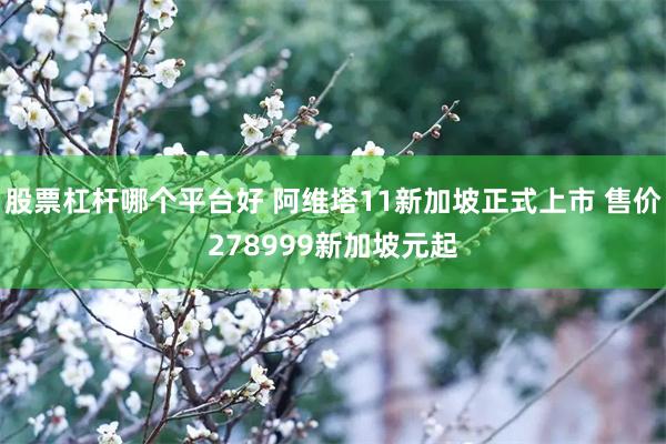 股票杠杆哪个平台好 阿维塔11新加坡正式上市 售价278999新加坡元起