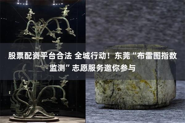 股票配资平台合法 全城行动！东莞“布雷图指数监测”志愿服务邀你参与