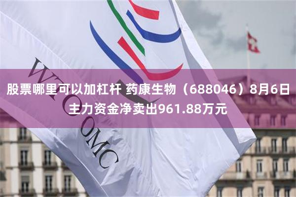 股票哪里可以加杠杆 药康生物（688046）8月6日主力资金净卖出961.88万元