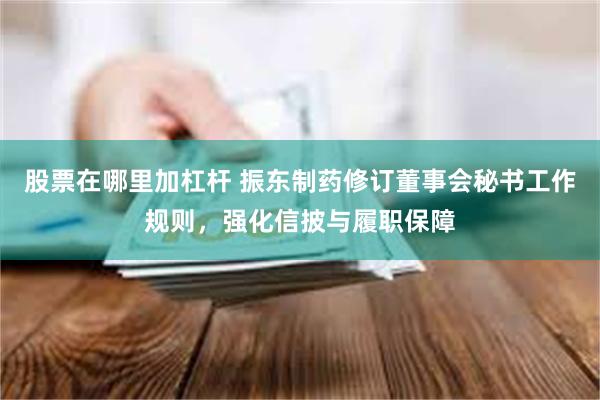 股票在哪里加杠杆 振东制药修订董事会秘书工作规则，强化信披与履职保障