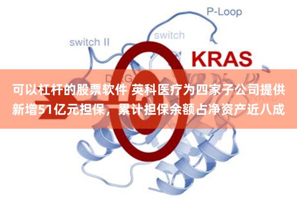 可以杠杆的股票软件 英科医疗为四家子公司提供新增51亿元担保，累计担保余额占净资产近八成