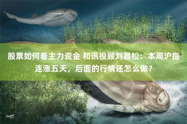 股票如何看主力资金 和讯投顾刘昌松：本周沪指连涨五天，后面的行情还怎么做？