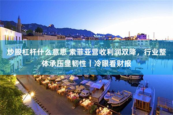 炒股杠杆什么意思 索菲亚营收利润双降，行业整体承压显韧性丨冷眼看财报