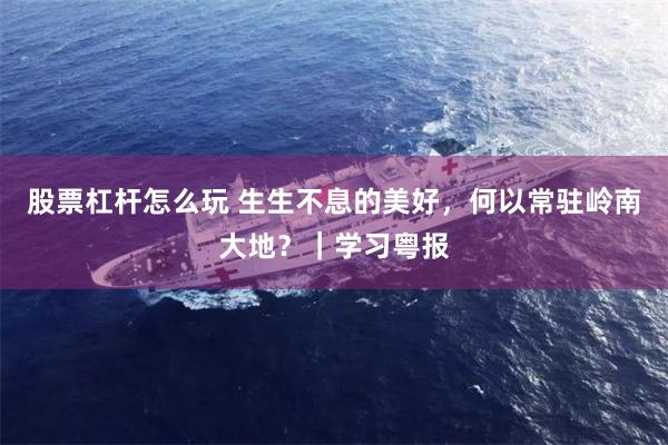 股票杠杆怎么玩 生生不息的美好，何以常驻岭南大地？｜学习粤报
