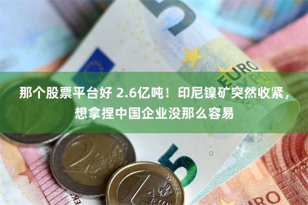 那个股票平台好 2.6亿吨！印尼镍矿突然收紧，想拿捏中国企业没那么容易