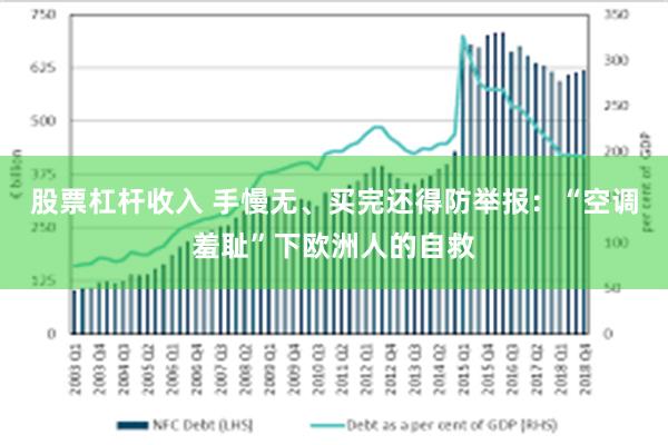 股票杠杆收入 手慢无、买完还得防举报：“空调羞耻”下欧洲人的自救