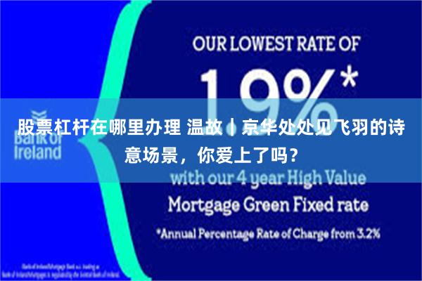 股票杠杆在哪里办理 温故｜京华处处见飞羽的诗意场景，你爱上了吗？