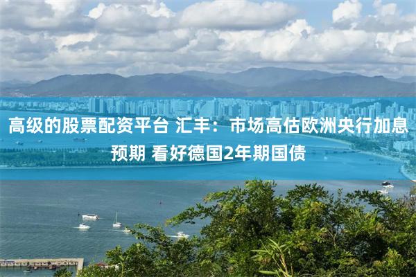 高级的股票配资平台 汇丰：市场高估欧洲央行加息预期 看好德国2年期国债
