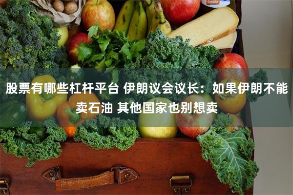 股票有哪些杠杆平台 伊朗议会议长：如果伊朗不能卖石油 其他国家也别想卖