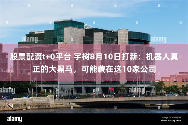 股票配资t+0平台 宇树8月10日打新：机器人真正的大黑马，可能藏在这10家公司
